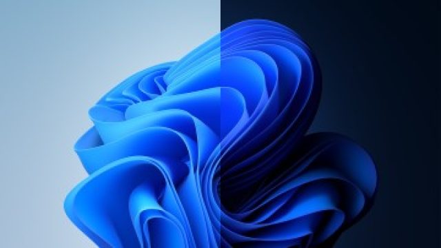 Celebrating Five Years of Windows 11: A Look Back and Forward