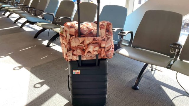 The Essential Travel Bag You C