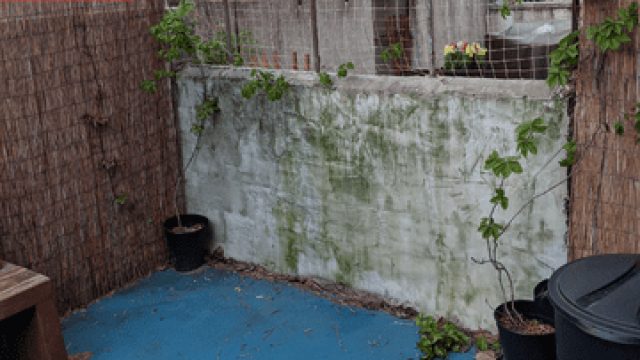 Transforming Your Outdoor Space: The Impact of Innovative Solutions