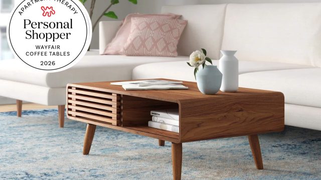 Discover the Latest Trends in 