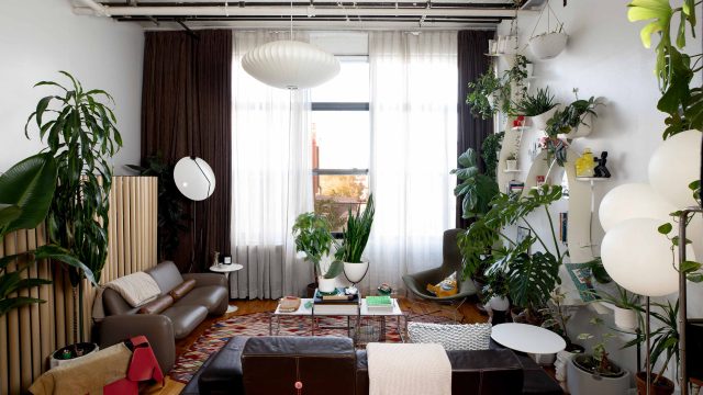 Transform Your Space Instantly