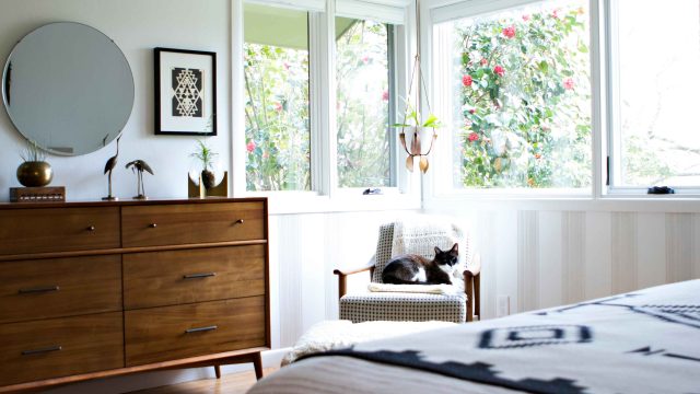 Transforming Pet Care: The Evolution of Self-Cleaning Litter Boxes