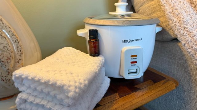 Why a Rice Cooker in Your Bath