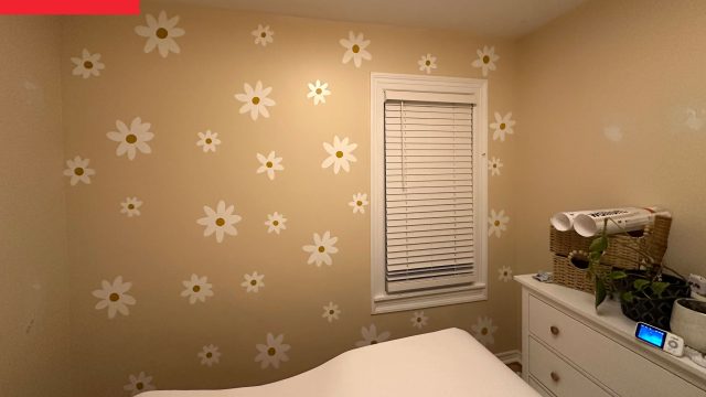 Transform Your Space: The Whim