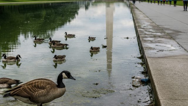 Concerns Rise Over Reflecting 